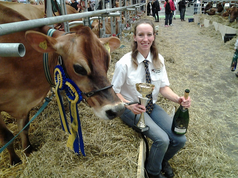 Jersey kossa med stora rosetter som var reserv champion på Elmia prispokal och champange
