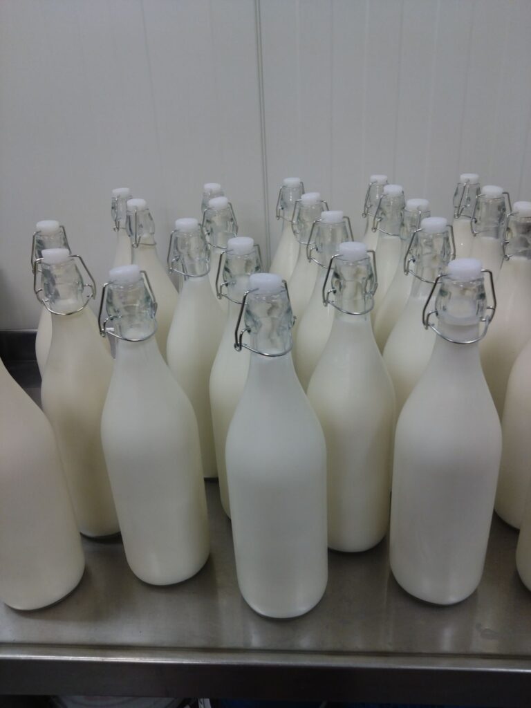Glasflaskor fyllda med gårdens mjölk i mejeriet